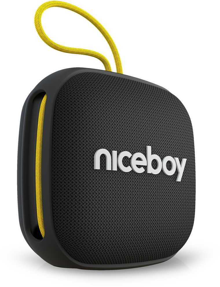 Niceboy RAZE Mini 4