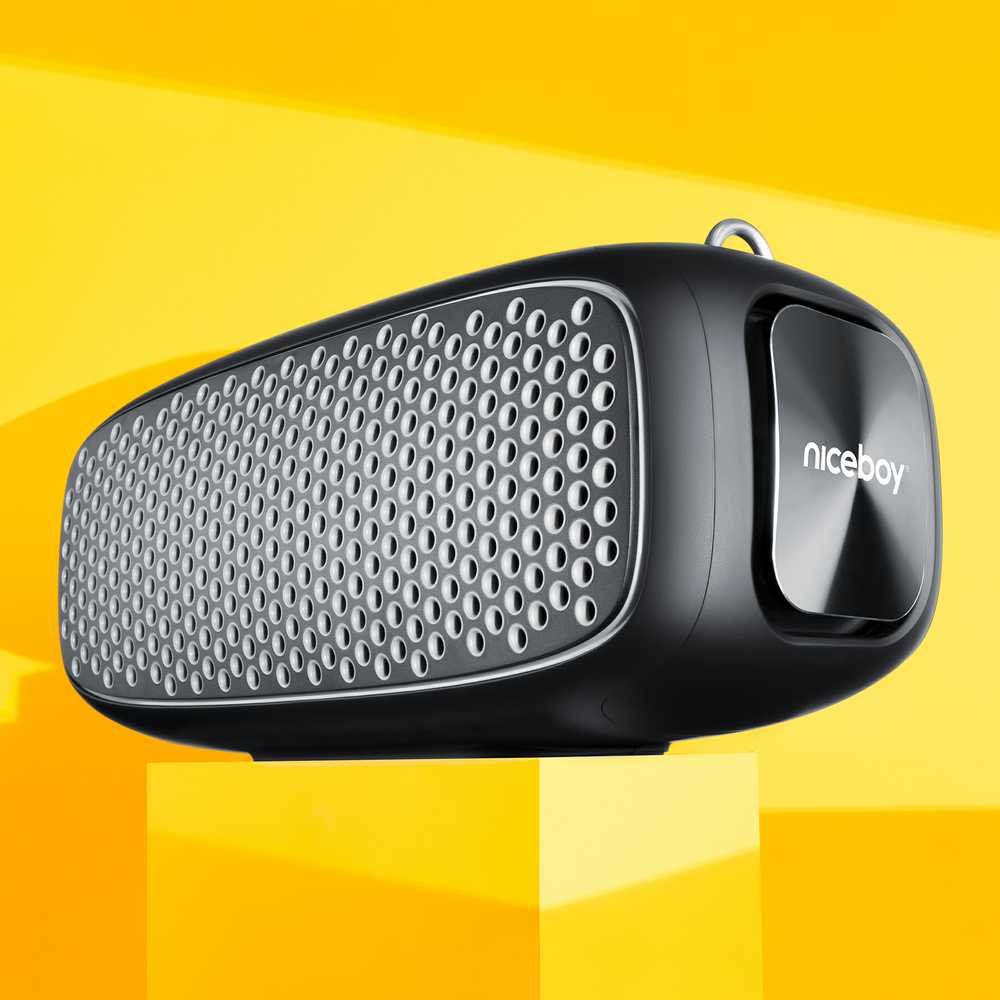 Garsiakalbis Niceboy NICEBOY Raze Zeus - Mobilny Garsiakalbis 65W 65W, Bateria 12h, Odporność IPX6