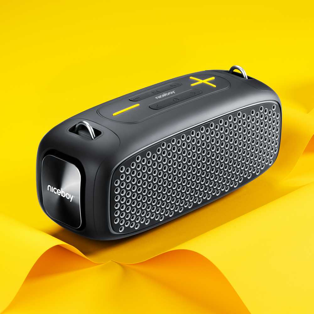 Garsiakalbis Niceboy NICEBOY Raze Zeus - Mobilny Garsiakalbis 65W 65W, Bateria 12h, Odporność IPX6