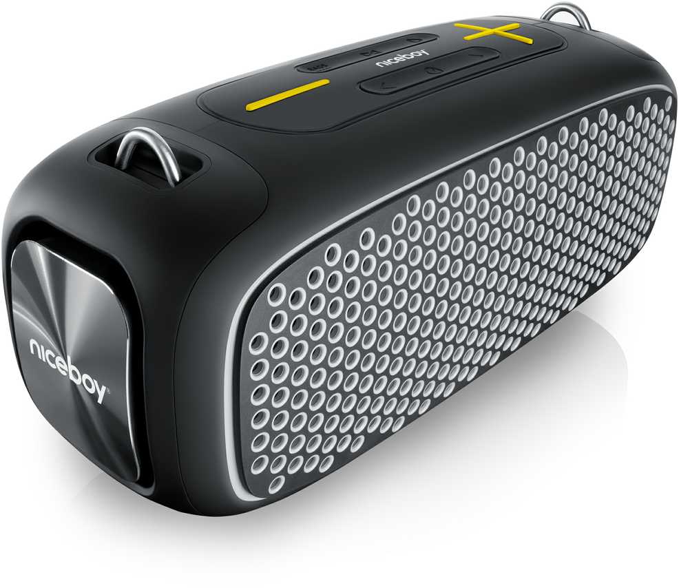 Garsiakalbis Niceboy NICEBOY Raze Zeus - Mobilny Garsiakalbis 65W 65W, Bateria 12h, Odporność IPX6