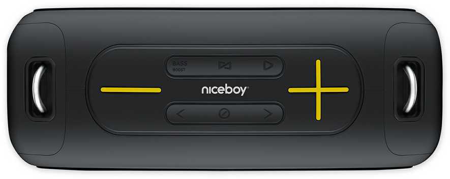 Garsiakalbis Niceboy NICEBOY Raze Zeus - Mobilny Garsiakalbis 65W 65W, Bateria 12h, Odporność IPX6