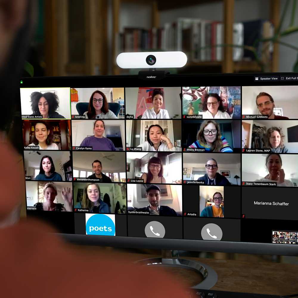 Internetinė kamera Niceboy STREAM PRO 2 LED
