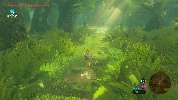 „Zelda legenda: Laukinės gamtos kvėpavimas“ – „Nintendo Switch 2“