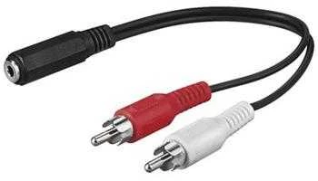 3,5 mm lizdo į dvigubą RCA adapteris