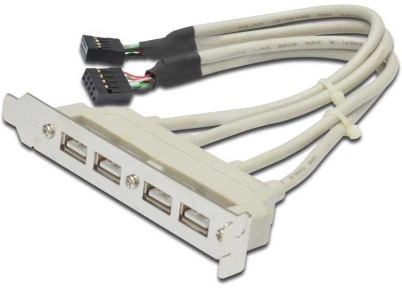 Assmann Electronic ASSMANN USB lizdo laikiklio kabelis 4x tipo A-2x10 kontaktų IDC F/F 0,25 m USB 2.0 suderinamas