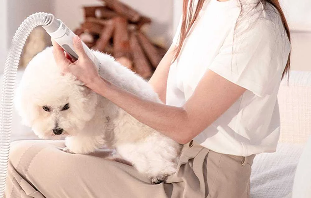 Naminių gyvūnėlių priežiūros rinkinys PETKIT Air Clipper 5-in-1