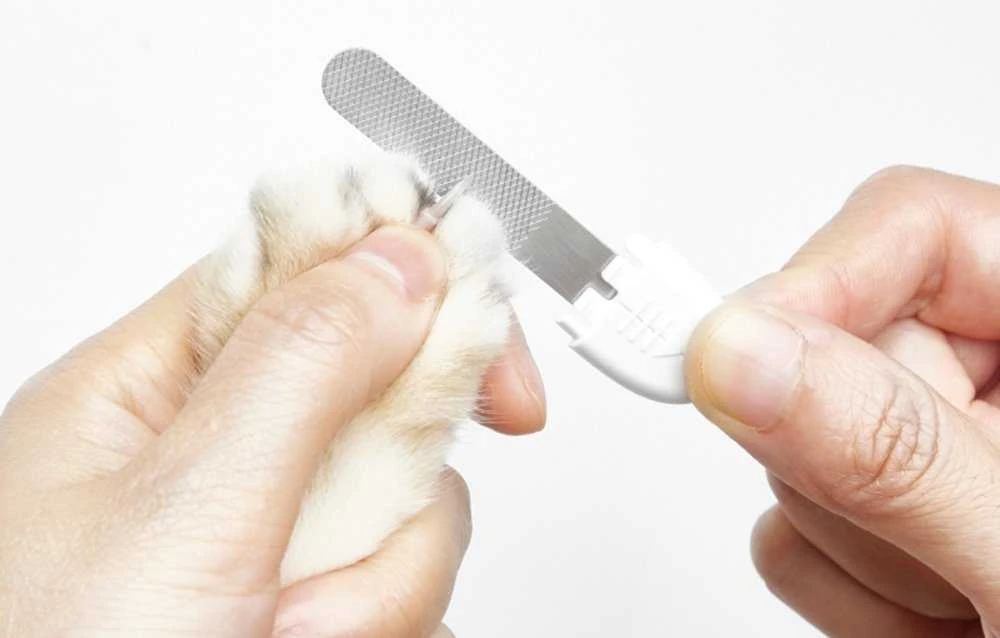 PETKIT | LED nagų kirpimo mašinėlė PRO | Baltas