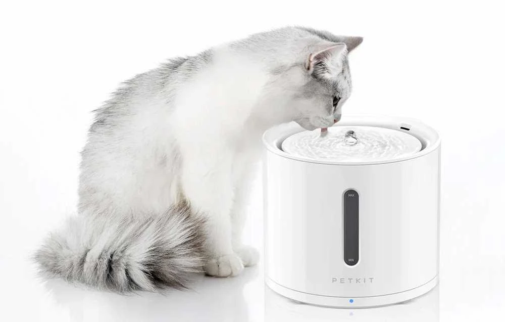 Gertuvė - fontanėlis PETKIT Eversweet Solo 2, 2 L