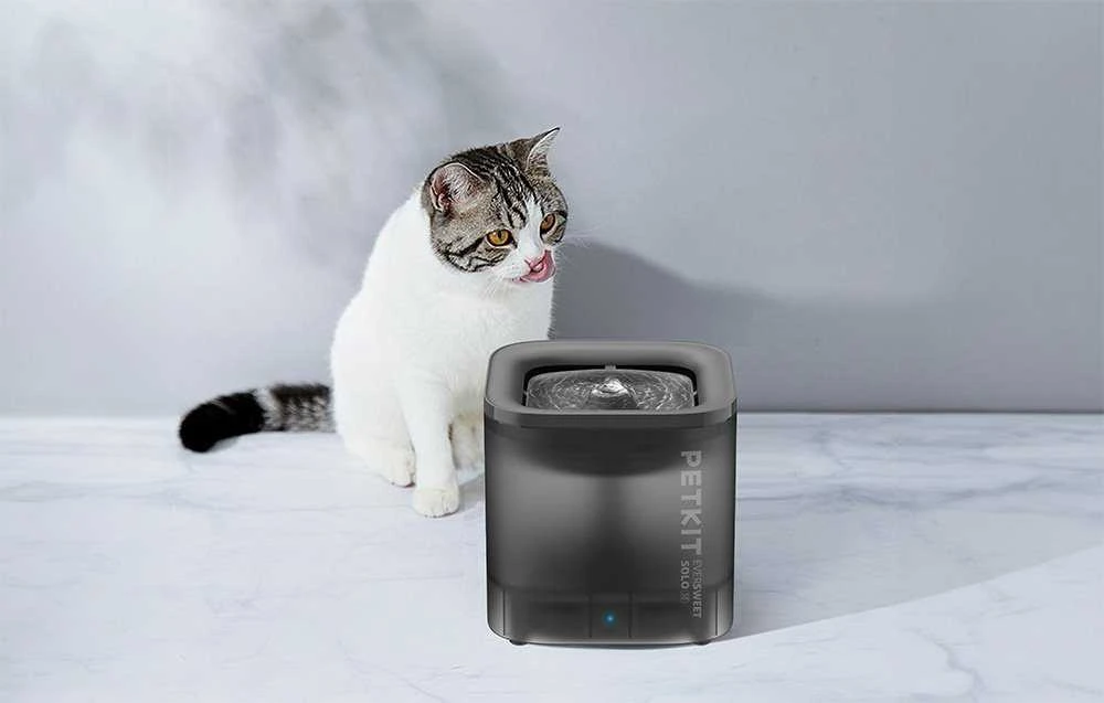 PETKIT | „Smart Pet“ gėrimo fontanas | Eversweet Solo | Talpa 1,8 L | Filtravimas | Medžiaga Plastikas | Pilkas