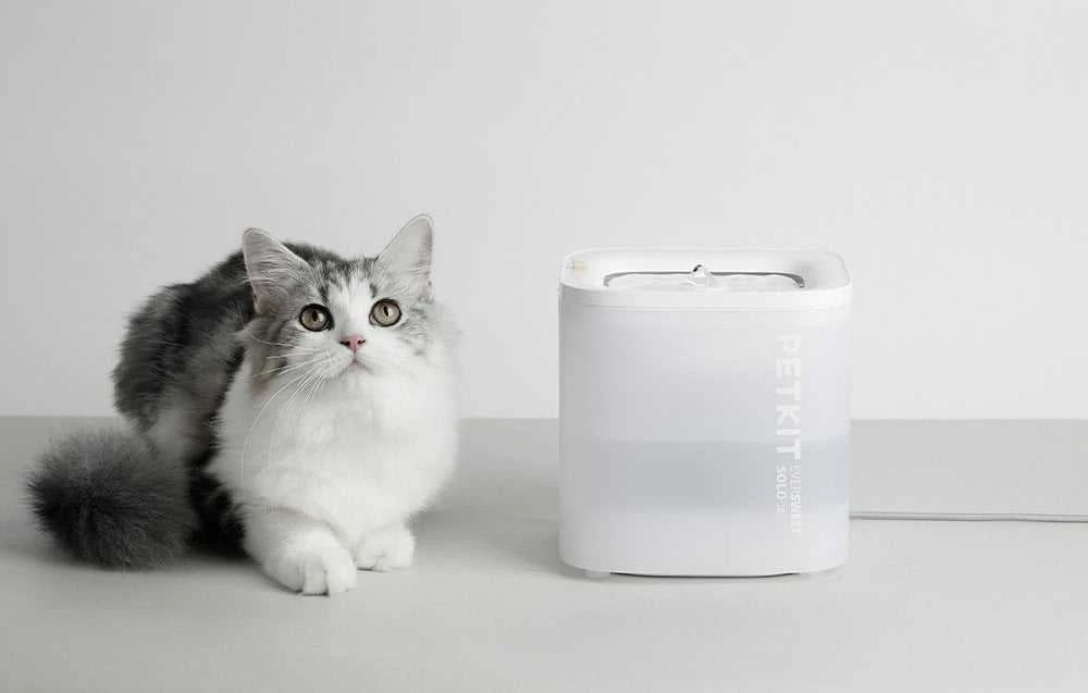 PetKit Eversweet SOLO SE fontanas ir gertuvė gyvūnams