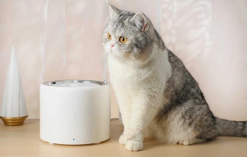 Gertuvė - fontanėlis PETKIT Eversweet 3 Pro, 1,35 L