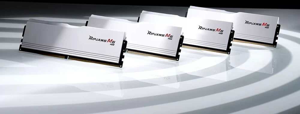 RAM G.Skill Ripjaws M5 RGB atmintis, DDR5, 48 GB, 6000 MHz, CL30 (F5-6000J3036F24GX2-RM5RW)