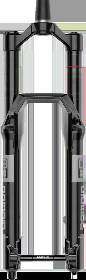 „RockShox Domain Gold“ izoliatorius RC3 – „Crown“ 29 colių „Boost“ 15x110 160 mm „Juodas aliuminio strypas C1“