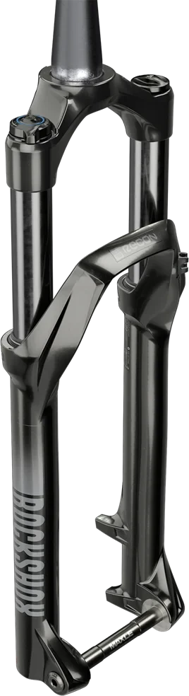 RockShox Recon šakė Sidabrinis RL Crown 29" 120 mm