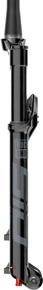 „RockShox SID Select Charger RL“ – 3P „Crown“ 29 colių „Boost“ 15x110 120 mm „Juodas Alum Str T D1“
