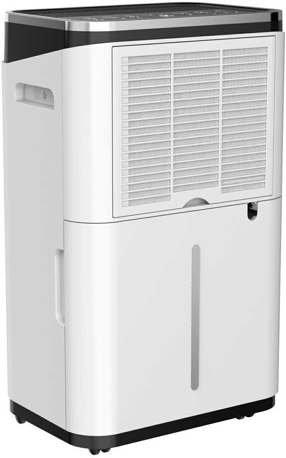 Rohnson R-9575 Ionic + Oro valytuvas