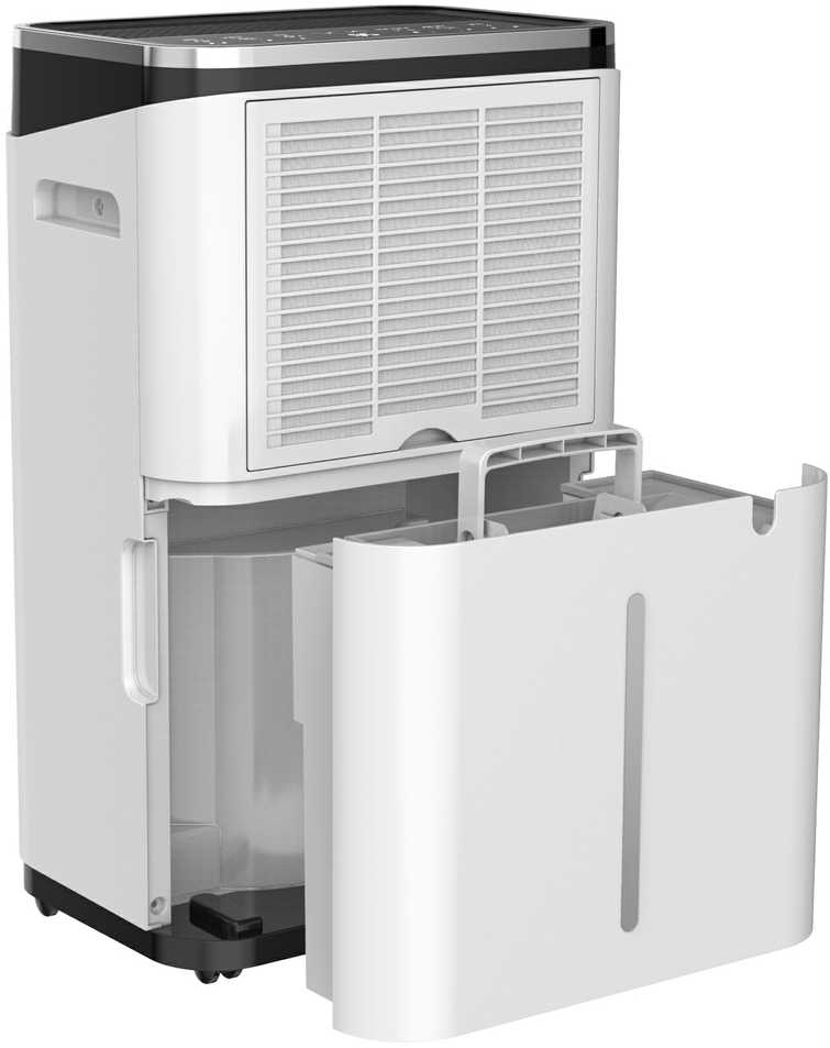 Rohnson R-9575 Ionic + Oro valytuvas