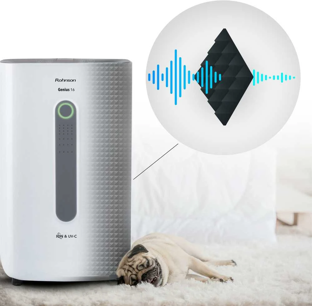 Sausintuvas ROHNSON R-9916W Genius 16 Wi-Fi ION & UV-C