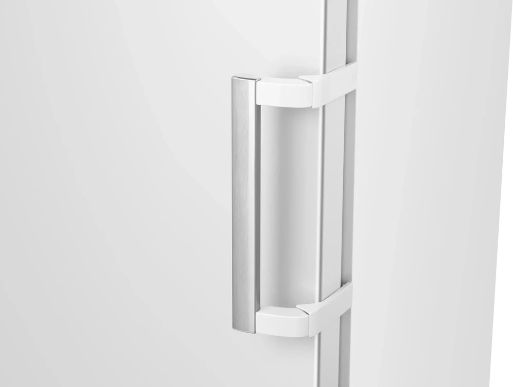 Šaldiklis HISENSE FV298N4AWE