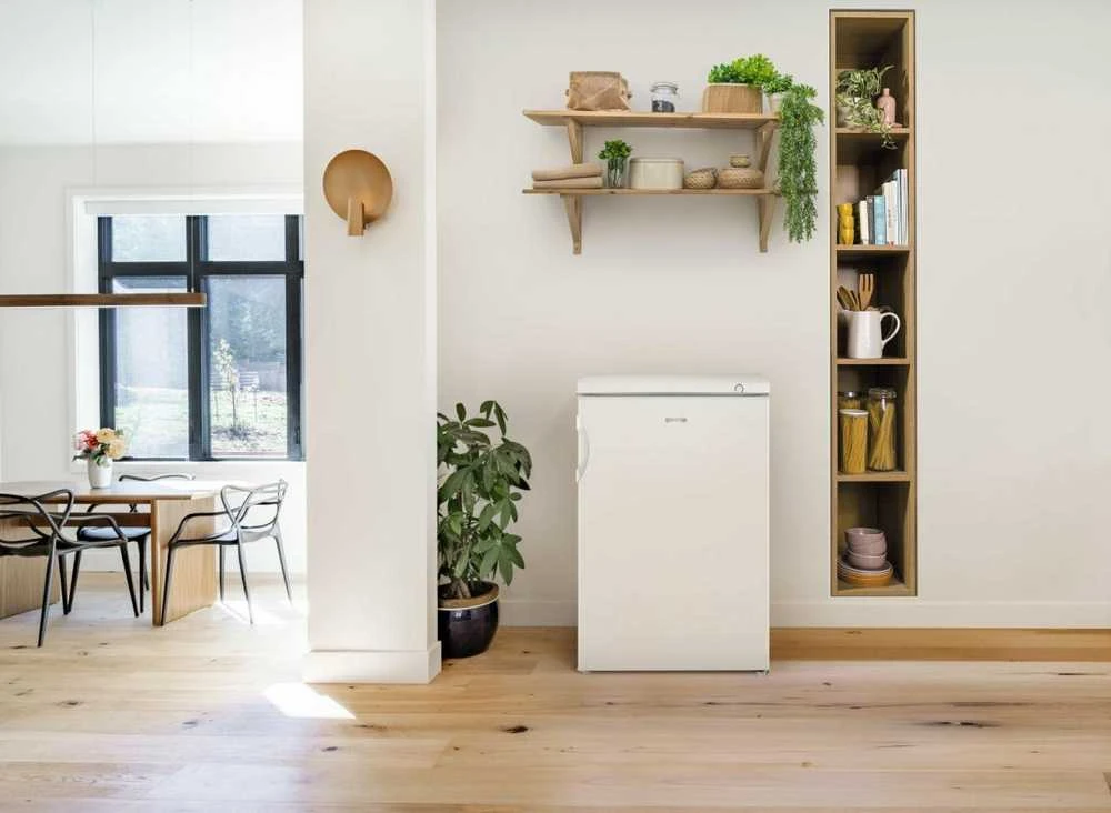 Šaldiklis Gorenje F49CPW