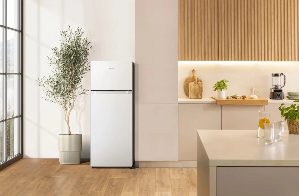 Šaldytuvas Gorenje RF414DPW4