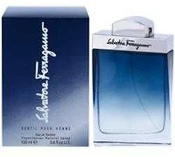 Salvatore Ferragamo Subtil Pour Homme EDT tualetinis vanduo vyrams, 100 ml