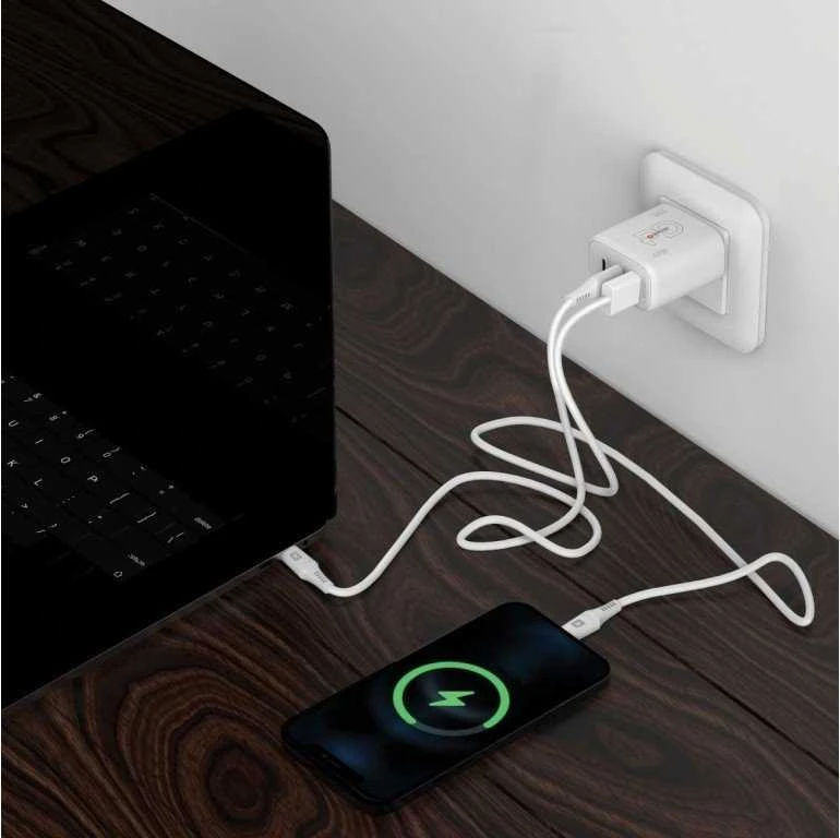 Skross sieninis įkroviklis su dviem USB jungtimis