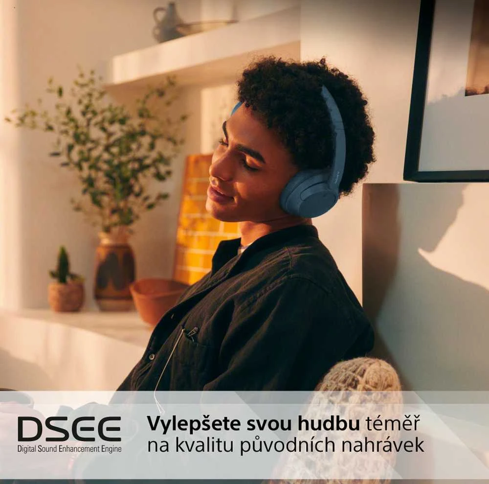 Sony WH-CH720NL belaidės ausinės, Mėlynos