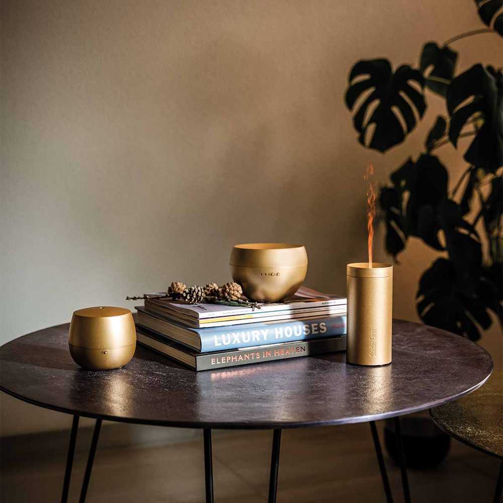 Drėkintuvas Stadler Form aroma diffuser LUCY - auksinis - L-039
