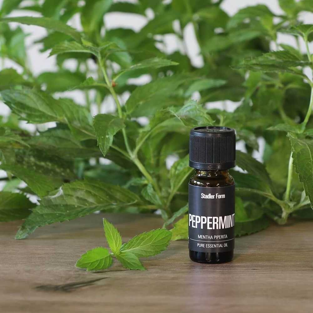 Drėkintuvas Stadler Form Essential Oil PEPPERMINT - 10 ml