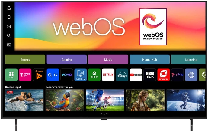 Televizorius LG OLED55B6ELC 55" OLED 4K 120Hz Gallery Design WebOS 2026