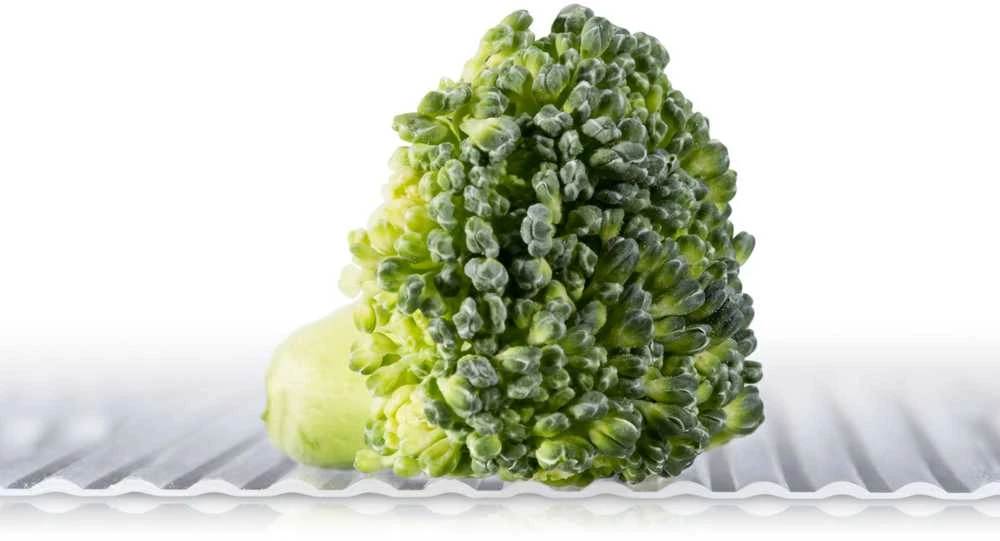 Tescoma Mata 150x50 cm Antybakteryjna do Lodówki FlexiSPACE Tescoma universalus