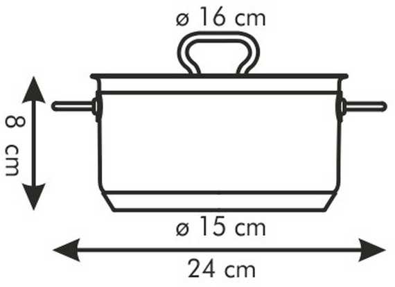 PLIENINIS PUODAS SU DANGIU PROFI TESCOMA 16cm 1,5l