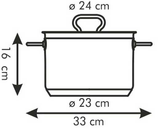 PLIENINIS PUODAS SU DANGIU PROFI TESCOMA 24cm 7l