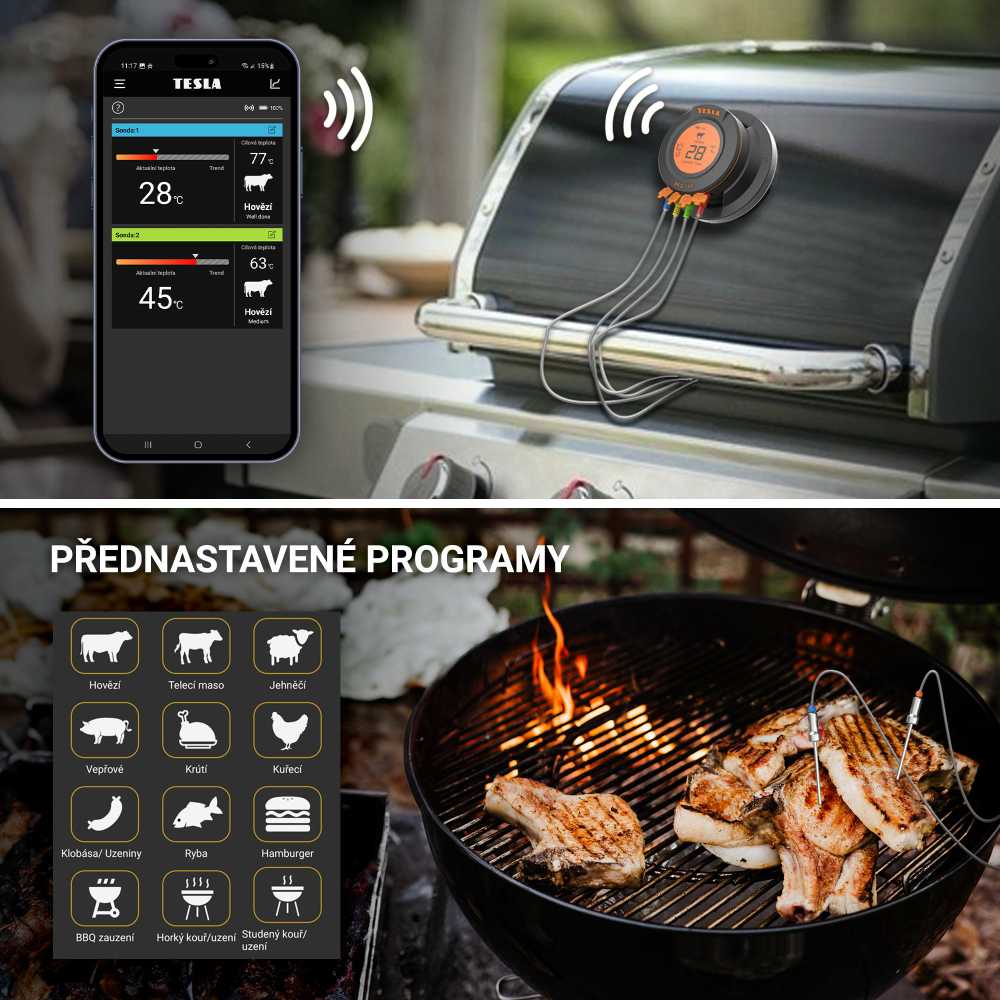 Termometr kuchenny TESLA Cook BBQ150 belaidis