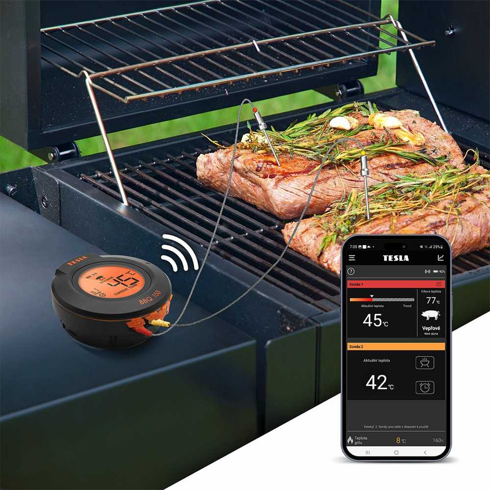 Termometr kuchenny TESLA Cook BBQ150 belaidis