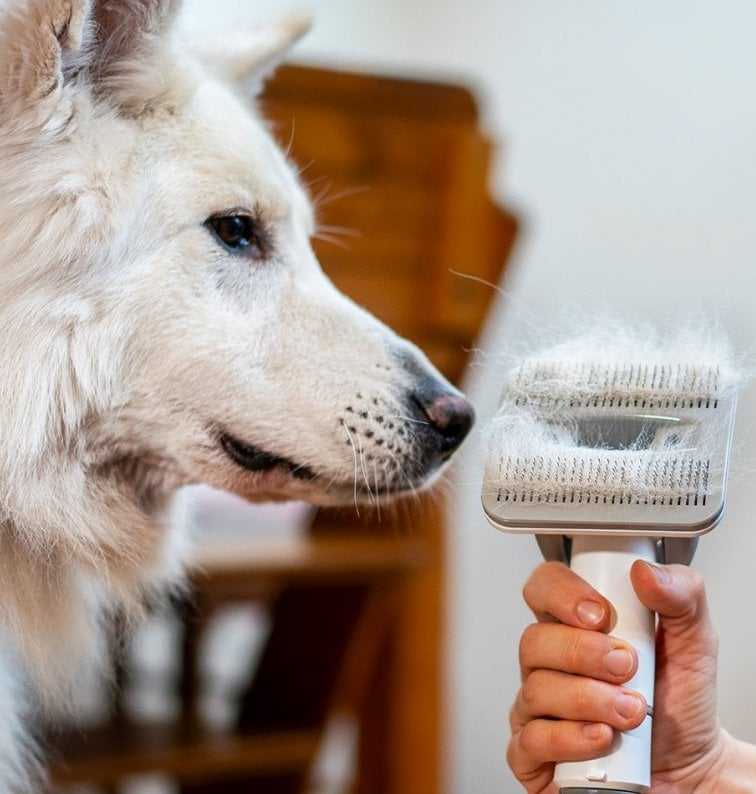 Dulkių siurblys Tesla Rinkinys PetCare Station TQ500 Pro