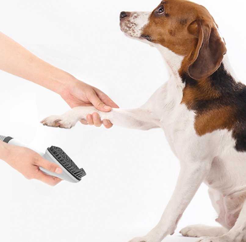 Dulkių siurblys Tesla Rinkinys PetCare Station TQ500 Pro