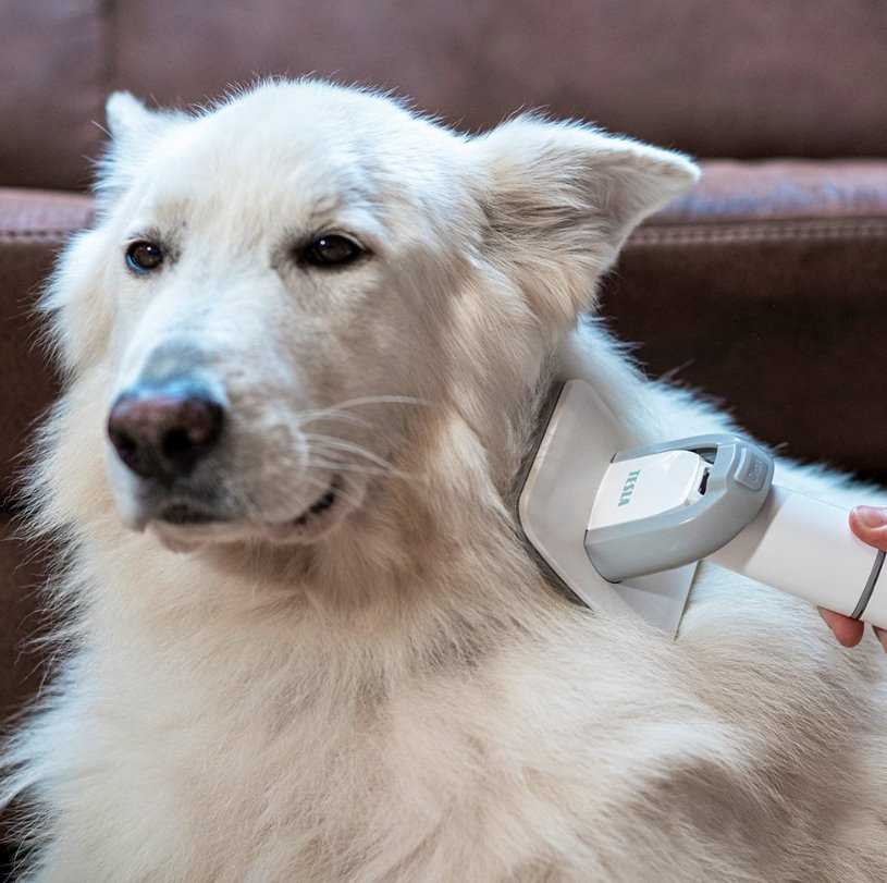 Dulkių siurblys Tesla Rinkinys PetCare Station TQ500 Pro