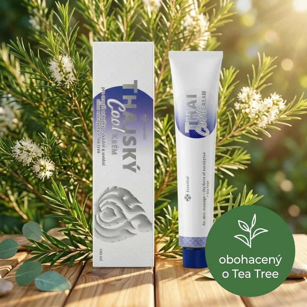 Thai Cream Thai Kreminis Thai Kreminis Essential Cool Chladivý masážní krém 100 ml
