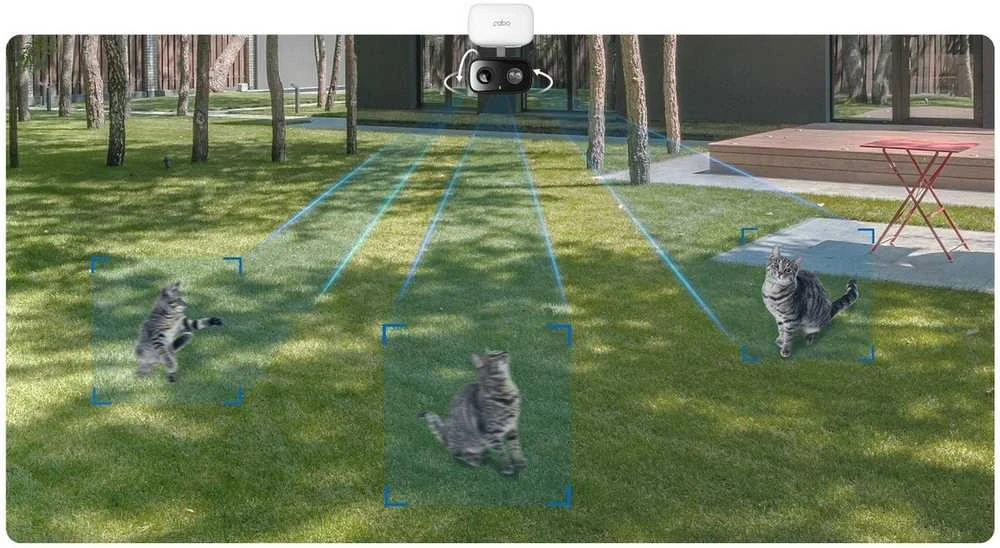 TP-LINK Tapo C206 Camera