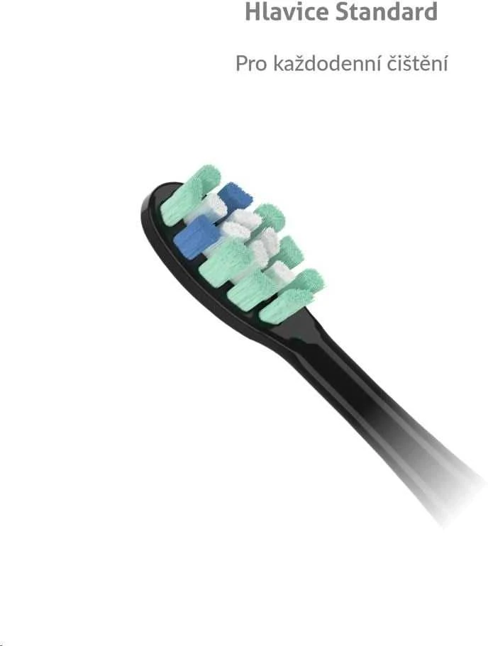 TrueLife SonicBrush juoda galvutė su spalvotais šereliais