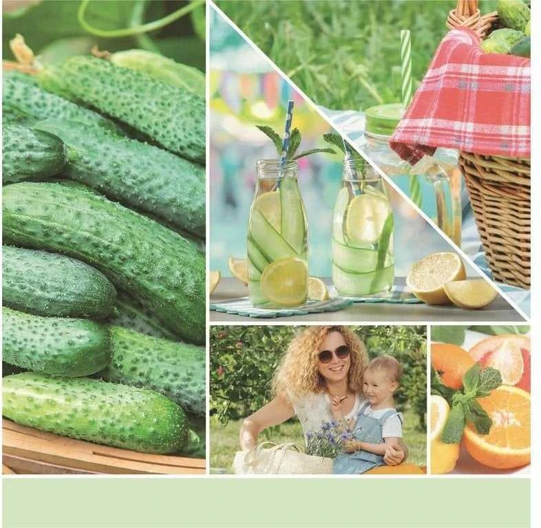 Yankee Candle Aromatinė žvakė "Signature", didelė stiklinė "Cucumber Mint Cooler" 567 g