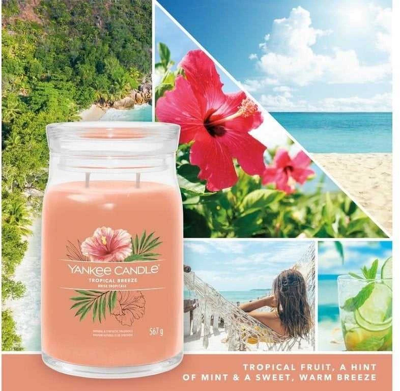 Yankee Candle Aromatinė žvakė Signature glass medium Tropica l Breeze 368 g