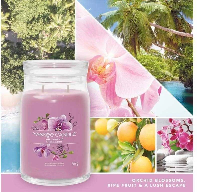 Yankee Candle Aromatinė žvakė Signature glass large Wild Orchid 567 g