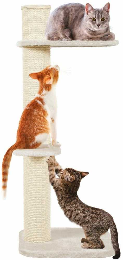 Zolux draskyklė katei CITY CAT 3 590x610x1480 mm kol. smėlio spalva