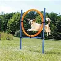 TRIXIE Agility žiedas, 115x3 cm, plastikas, 3208