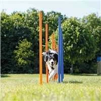 TRIXIE Agility Slalomo treniruoklis, 12 stulpų, 115 cm, plastikas, 3206