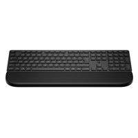 Hewlett Packard (HP) 580K Multi-Device Klaviatūra Palm Rest aprašymas - Prekės nuotrauka