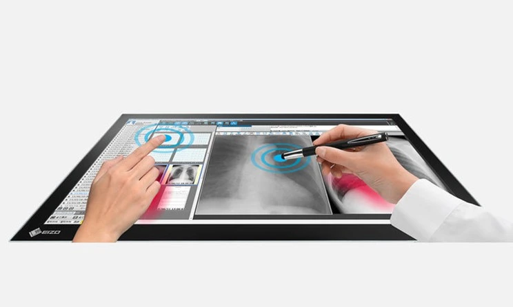 Monitorius EIZO MT 23 Monitorius EIZO MT 23